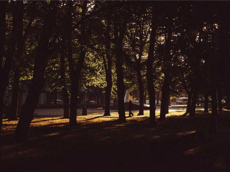 2025年数据分析师技能趋势